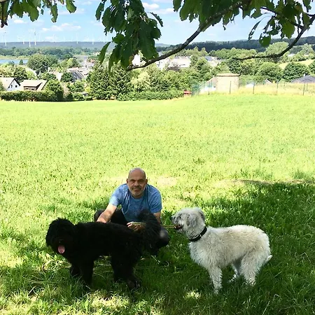 Zum Seeweiher Отель