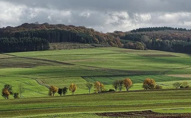 Zum Seeweiher Dreifelden